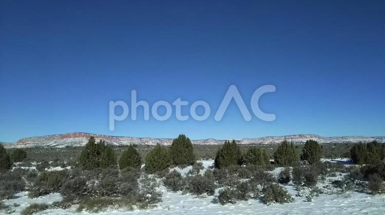 青い空の風景写真 青空,風景,木の写真素材