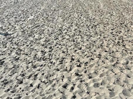 砂浜 砂浜 砂浜,砂丘,鳥取砂丘の写真素材