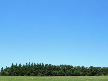 快晴の空と森林 快晴の空と森林 快晴,大空,青空の写真素材