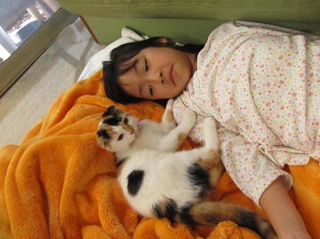 女の子と子猫 女の子と子猫の写真