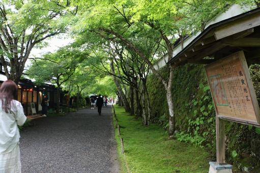 三千院 三千院 三千院,京都,大原の写真素材