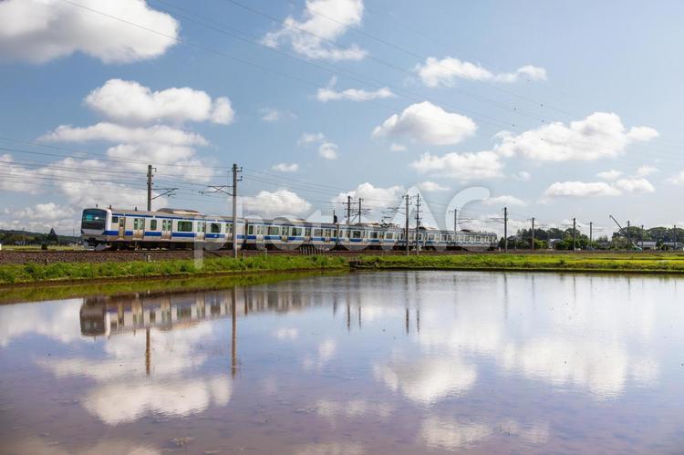 水鏡　常磐線 鉄道,電車,水田の写真素材