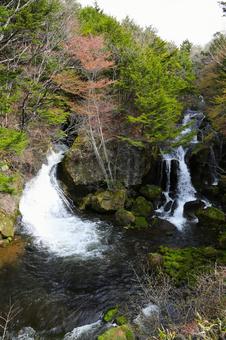 龍頭の滝4(栃木県日光市にて) 龍頭の滝4(栃木県日光市にて) 龍頭の滝,奥日光三名瀑,自然景勝地の写真素材