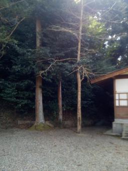 風景 山林と建物 風景 山林と建物の写真