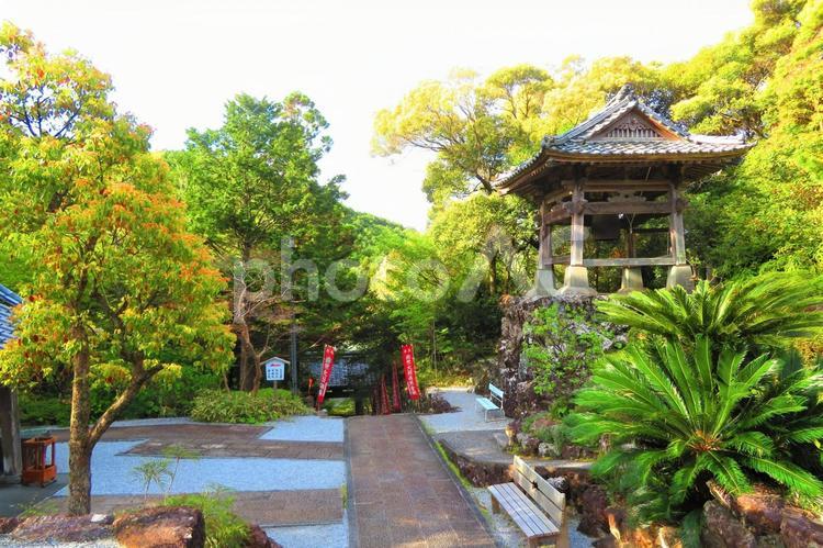 ４月中旬四国八十八か所二十九番札所国分寺 背景,国分寺,寺の写真素材