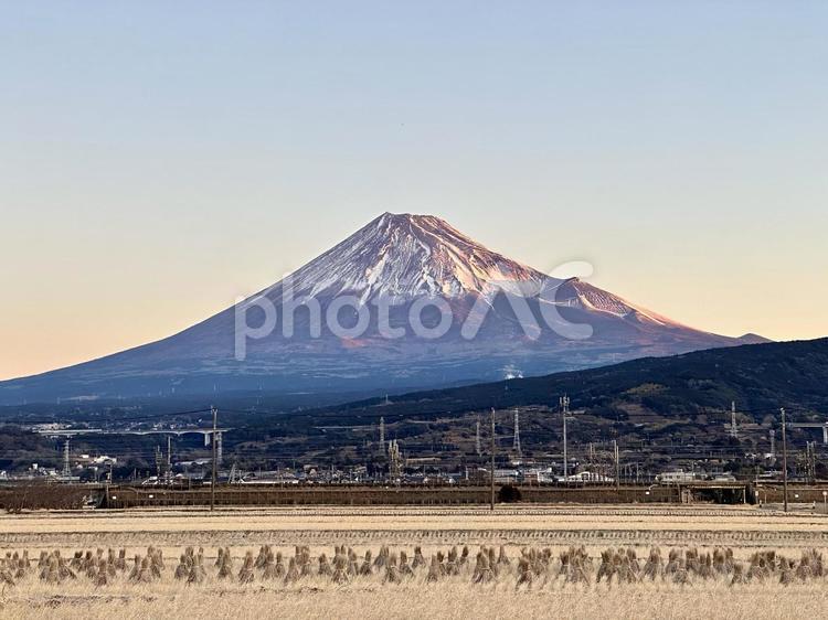 田園から見る朝の富士山 富士山,自然,風景の写真素材
