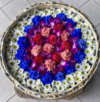 花手水　花アート　花々　旬の花々　手水舎 花手水,花アート,花々の写真素材