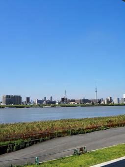 初秋の荒川&東京スカイツリー(江戸川区) 初秋の荒川&東京スカイツリー(江戸川区)の写真