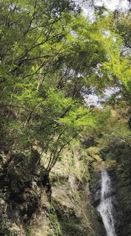 川根町 不動の滝008 川根町 不動の滝008 静岡県,川根町,不動の滝の写真素材