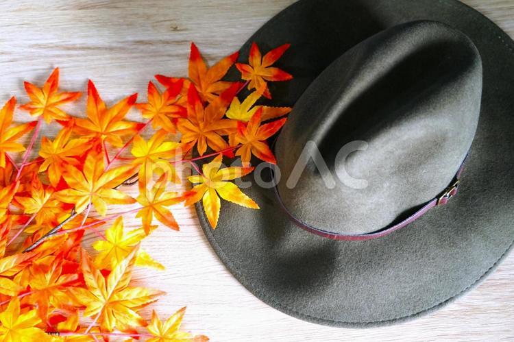 秋のイメージ①（帽子＆紅葉） 紅葉,帽子,秋の写真素材