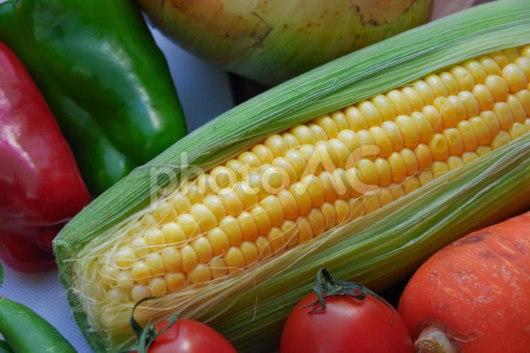 とうもろこしと野菜 とうもろこし,トウモロコシ,コーンの写真素材