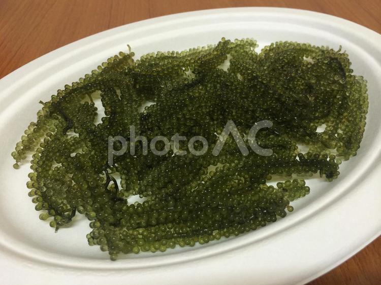 新鮮で粒に張りがある沖縄の海ぶどう、紙皿 海ぶどう,グリーンキャビア,クビレズタの写真素材