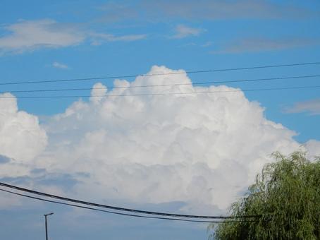 【空の写真】夏空 夏雲,景色,空の写真素材