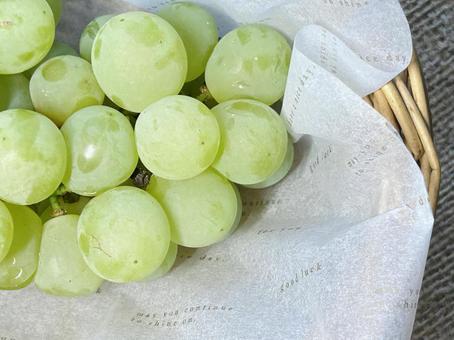 マスカットの写真