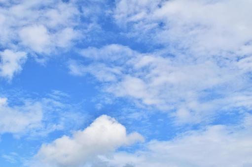 夏の爽やかな空 夏の爽やかな空の写真
