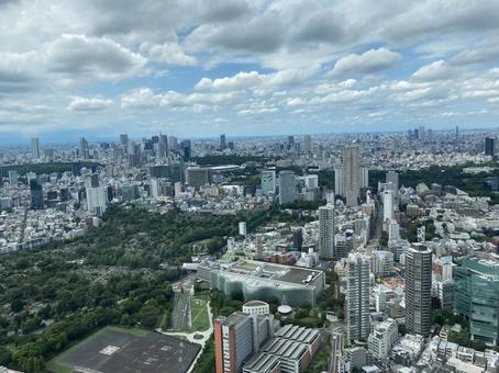 Photo, the scenery, landscape, view, 
