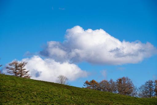 晩秋の丘陵に浮かぶ積雲と澄んだ青空 丘,青空,白い雲の写真素材