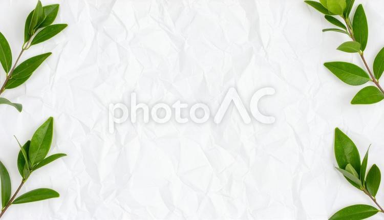 しわくちゃの白い紙 白,テクスチャ,でこぼこの写真素材