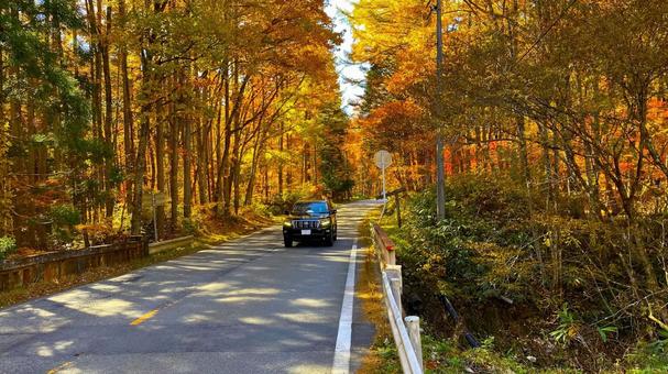 紅葉のせせらぎ街道 紅葉のせせらぎ街道 紅葉,せせらぎ街道,秋の写真素材