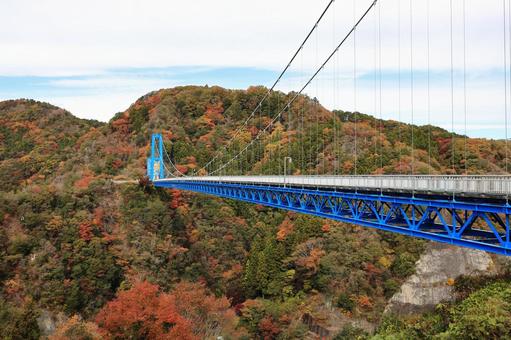 竜神大吊橋 竜神大吊橋,紅葉,秋の写真素材