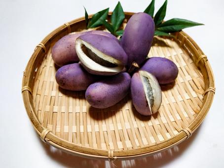 あけび あけび,アケビ,果物の写真素材