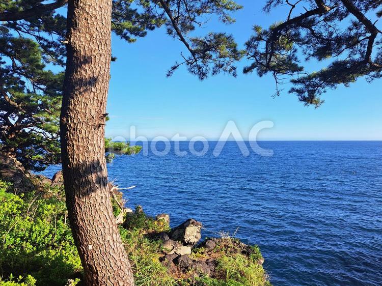 静岡県伊豆の海 静岡県,伊豆,夏の写真素材