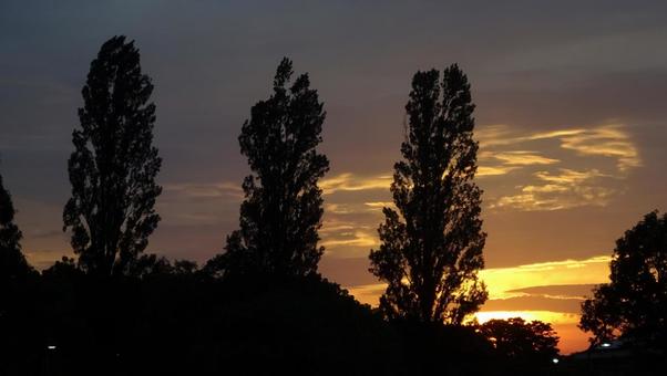 とある公園の夕日 日没,夕暮れ,マジックアワーの写真素材