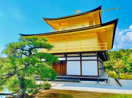 金閣寺 金閣寺 金閣寺,金閣,鹿苑寺の写真素材