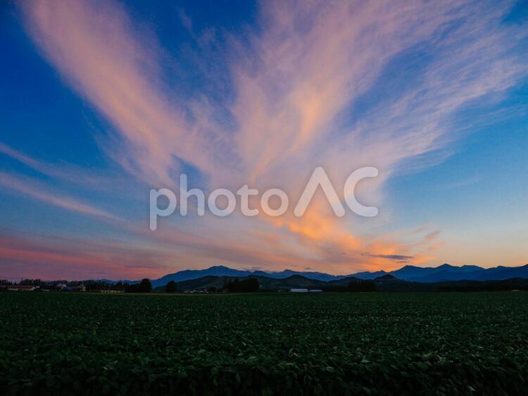 夕暮れの空 夕焼け,雲,オレンジ色の写真素材