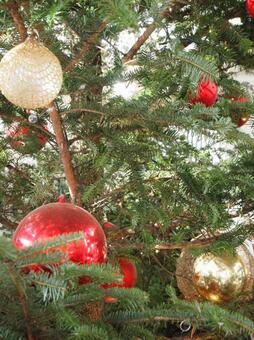 クリスマス クリスマスの写真