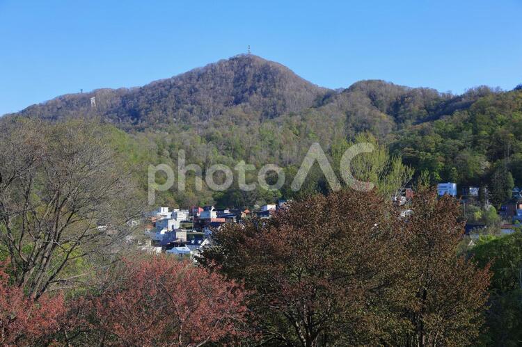 新緑が始まった頃の藻岩山・旭山記念公園より 藻岩山,春,新緑の写真素材