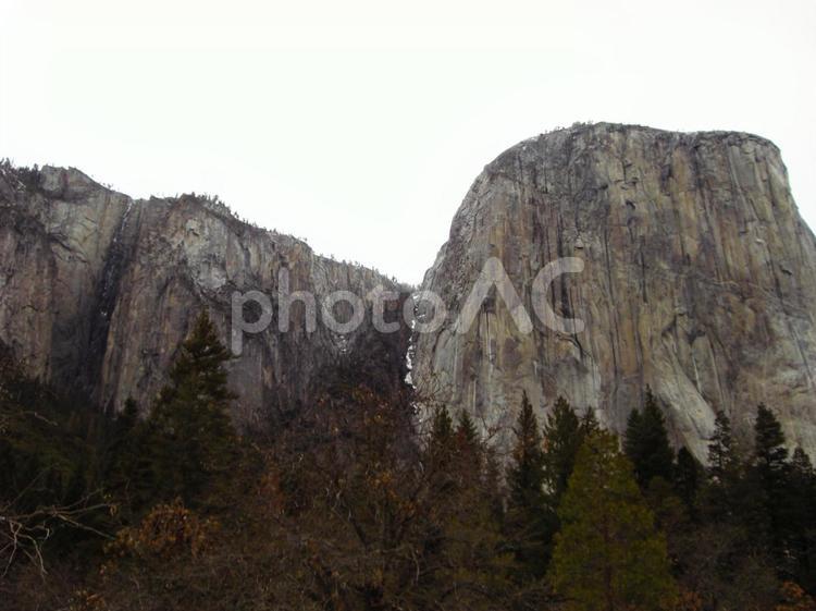 ヨセミテ国立公園12 ヨセミテ国立公園,木,森の写真素材