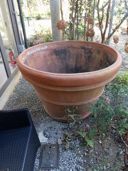 Large bowl of English garden terracotta Large bowl of English garden terracotta
