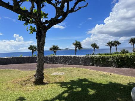 沖縄 沖縄,景色,自然の写真素材