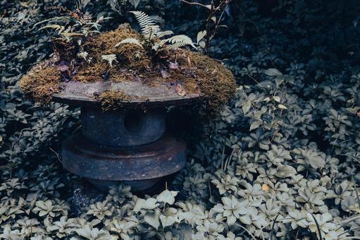 Photo, stone lantern, moss, film tone, 