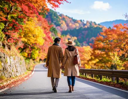 秋の紅葉の中を散歩 秋の紅葉の中を散歩の写真