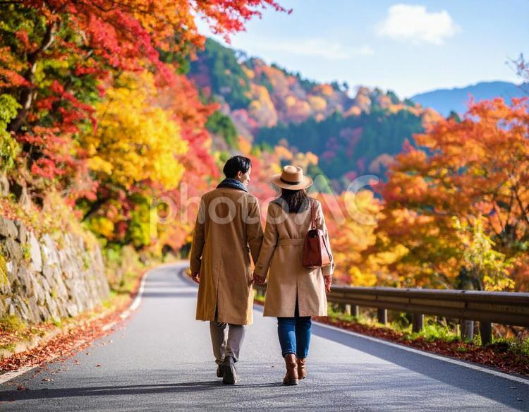 秋の紅葉の中を散歩 秋,散歩,紅葉の写真素材
