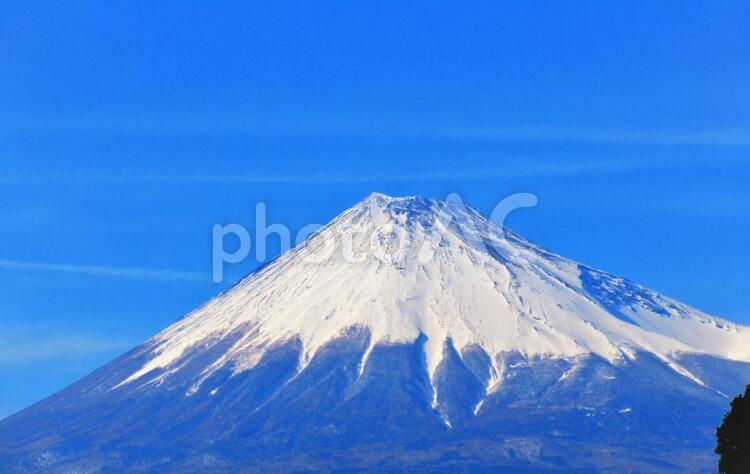 富士市役所の歩道橋の上から見える春の富士山 富士山,山,春の写真素材