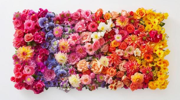 カラフルな花の絨毯 カラフルな花の絨毯の写真