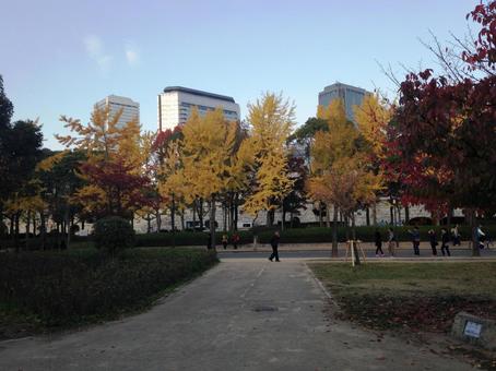 Osaka Castle Park in autumn Osaka Castle Park in autumn