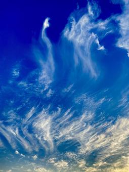 空と雲② 空と雲②の写真