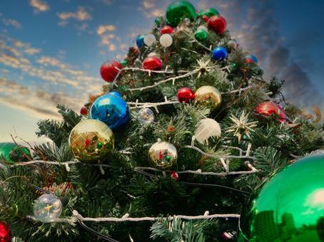 夕暮れとクリスマスツリー 夕暮れ,夕焼け,クリスマスツリーの写真素材