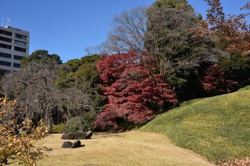 紅葉のある風景 紅葉のある風景 小石川後楽園,東京都,紅葉の写真素材