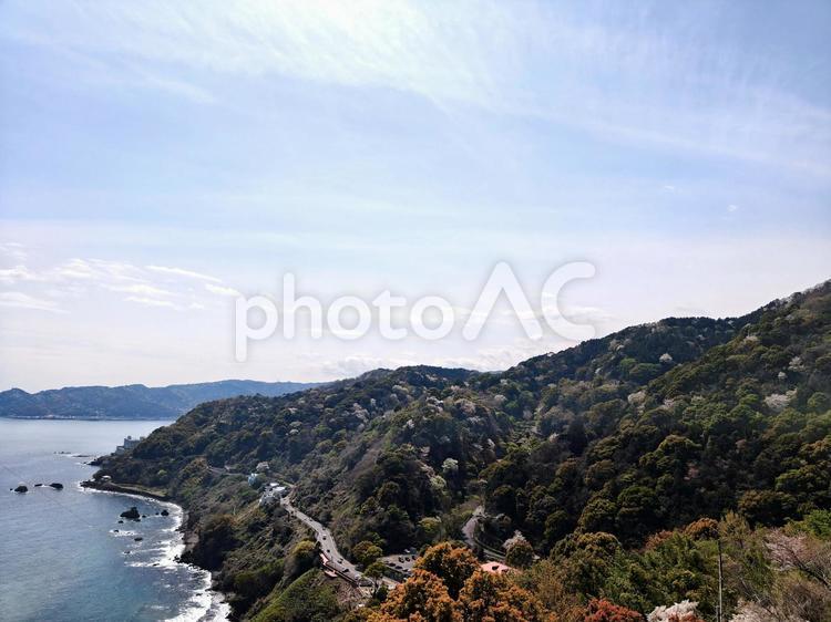 新緑と桜が彩る海辺 春景色,山桜,海の写真素材