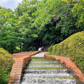 植物園 植物園 福岡,福岡市植物園,夏の写真素材