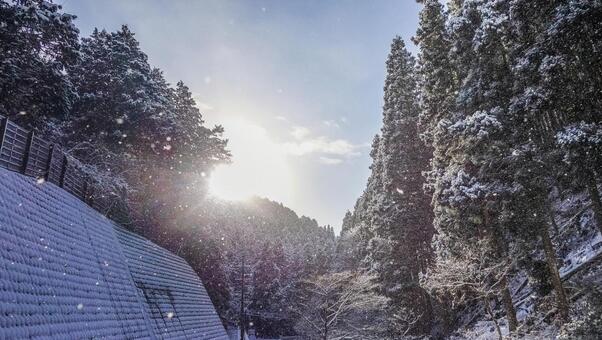 雪景色に差し込む太陽の光 雪景色に差し込む太陽の光の写真