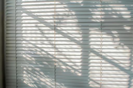 ブラインド越しの木漏れ日 ブラインド越しの木漏れ日の写真