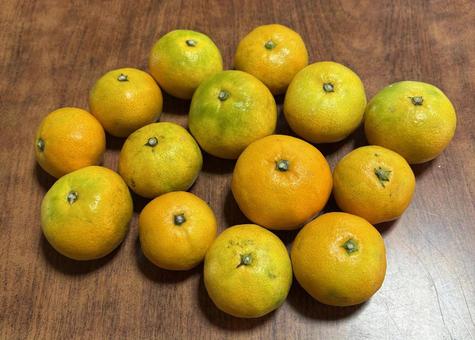 みかん 食べ物,美味しい,緑の写真素材