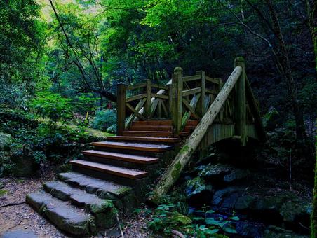 自然の中にある風景(橋) 自然,霊場,山の写真素材
