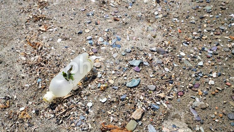 砂浜に落ちていたペットボトル 浜,風景,環境問題の写真素材